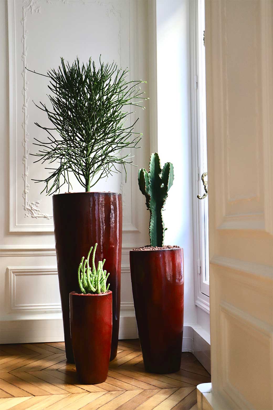 plantes-bureau-virginie-drouot